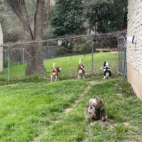 Hello friends! - Picture 1 of 16